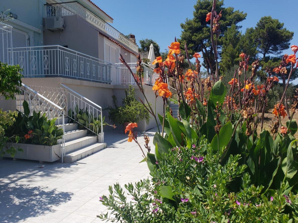 Malibu Studios & Apartments Lassi  Ngoại thất bức ảnh
